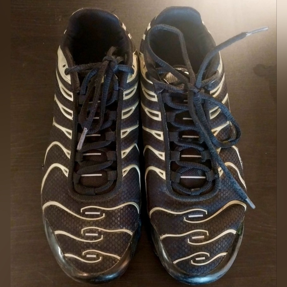 Nike TN Air Max Plus